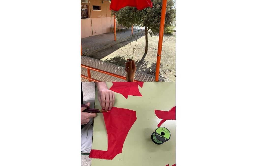 Proyecto Máximo Laguna3