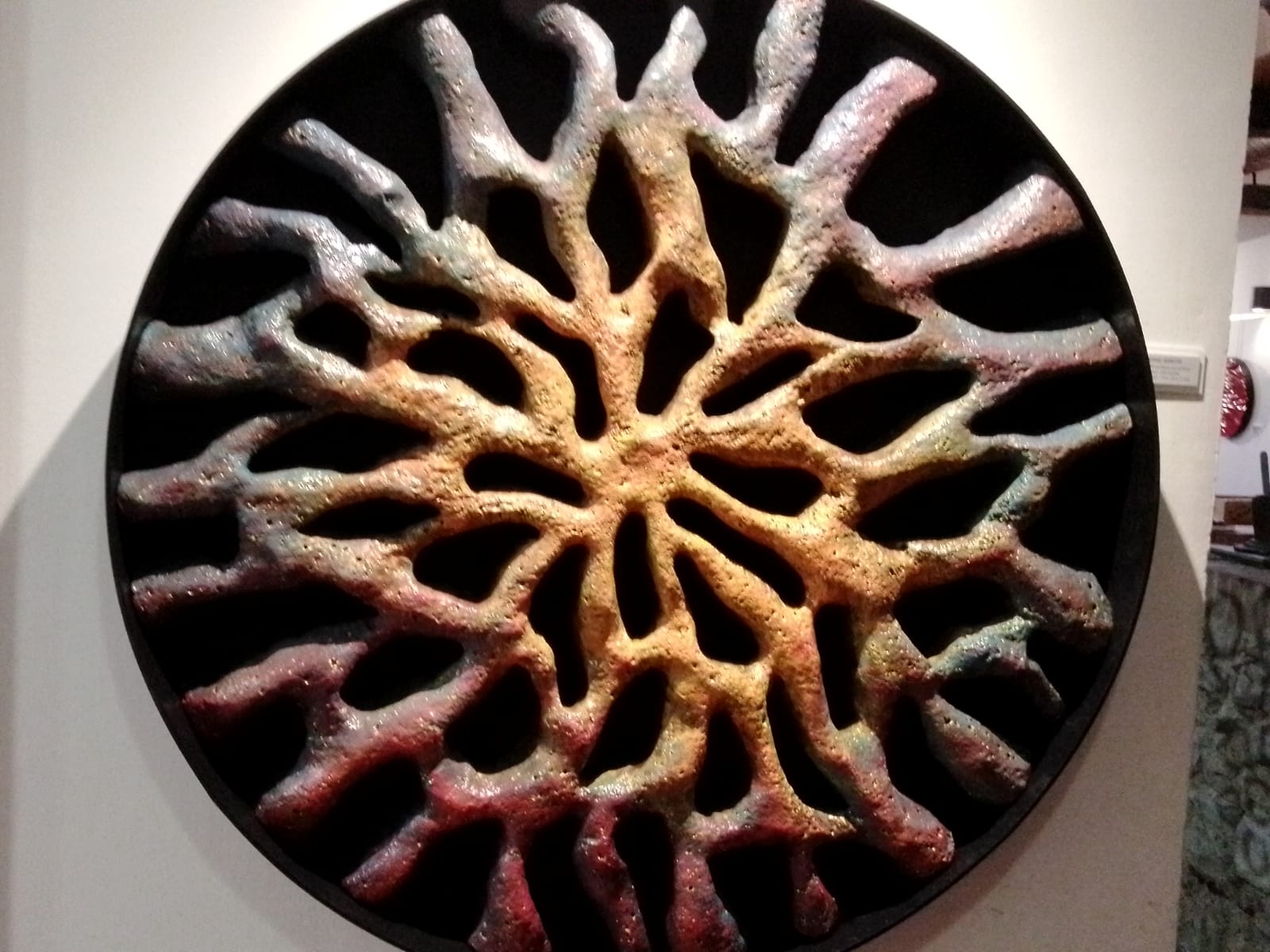 WhatsApp Image 2026-02-07 at 08.01.20 (1)