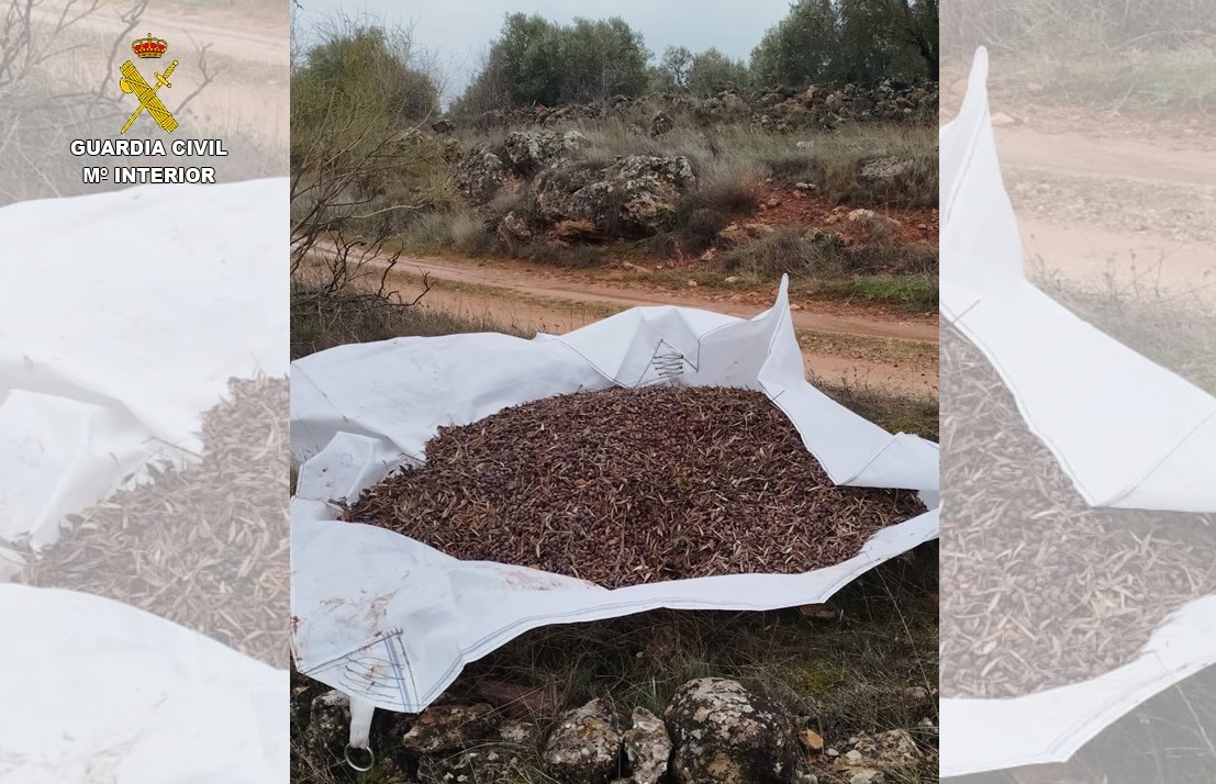 Mercancía incautada