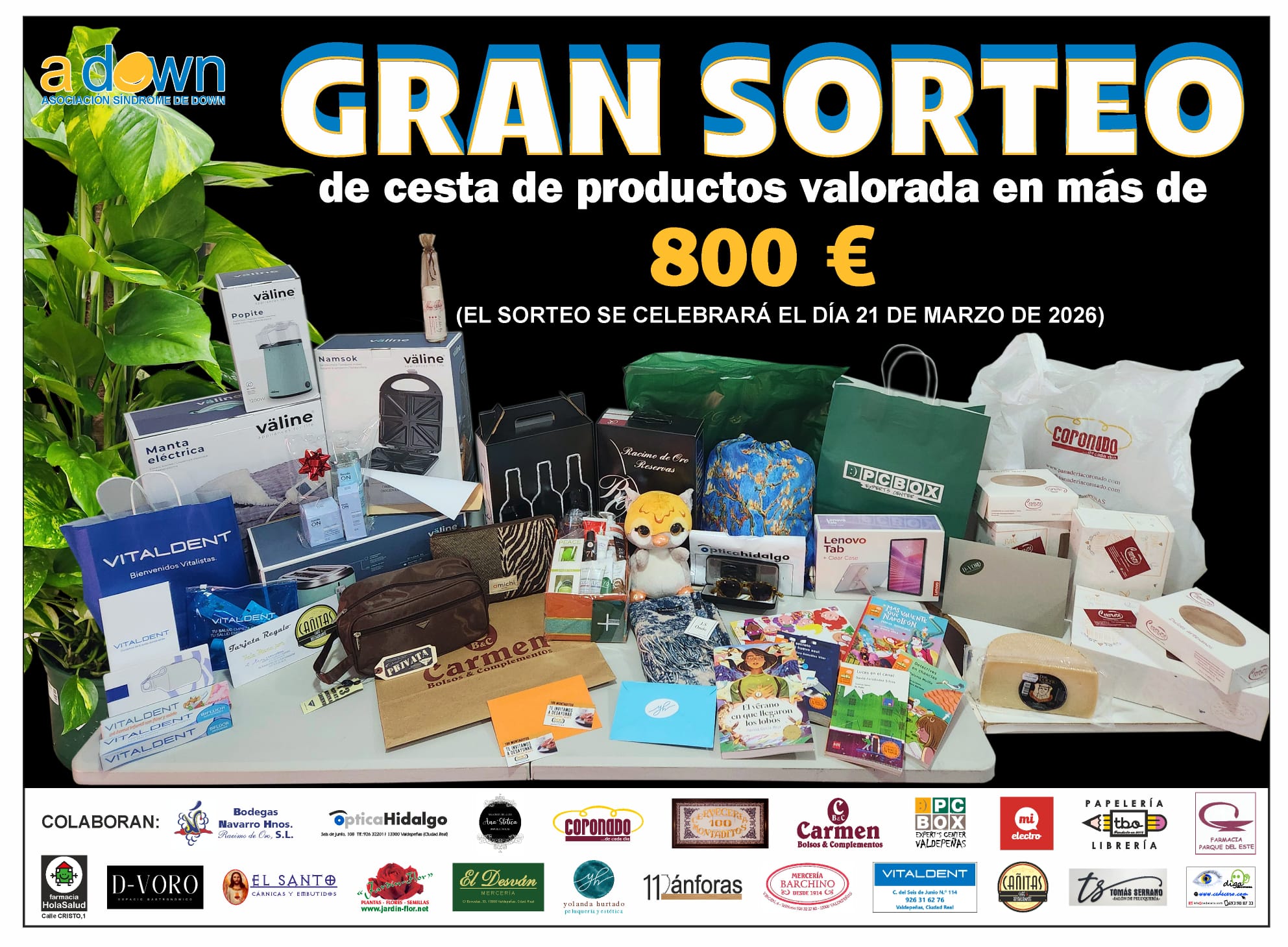 Sorteo adown
