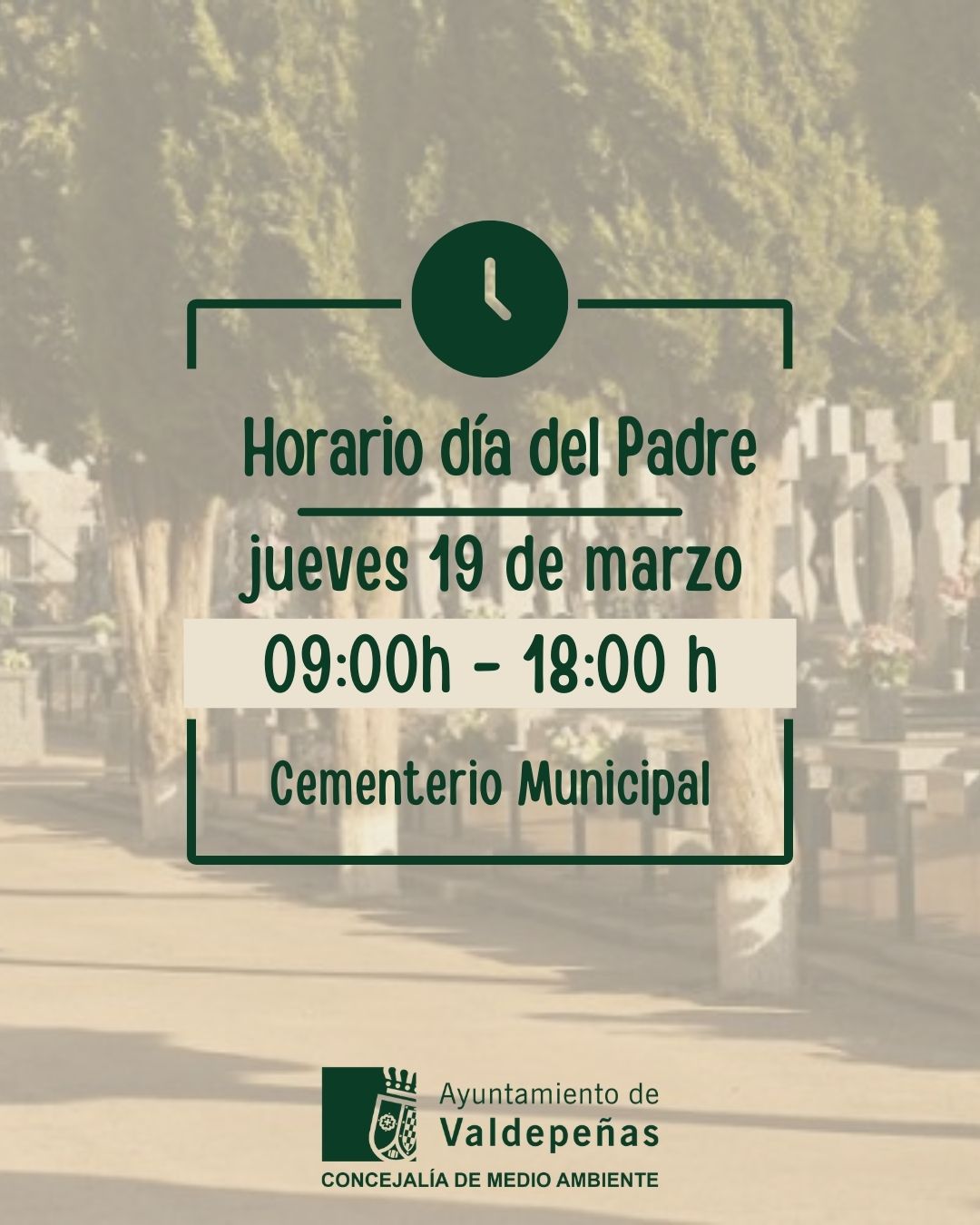 WhatsApp Image 2026-03-16 at 17.35.40