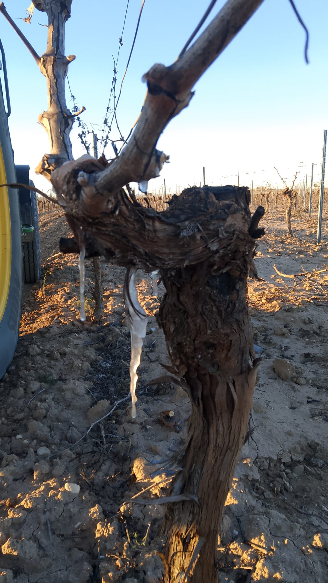 HELADA 30 MARZO  (1)