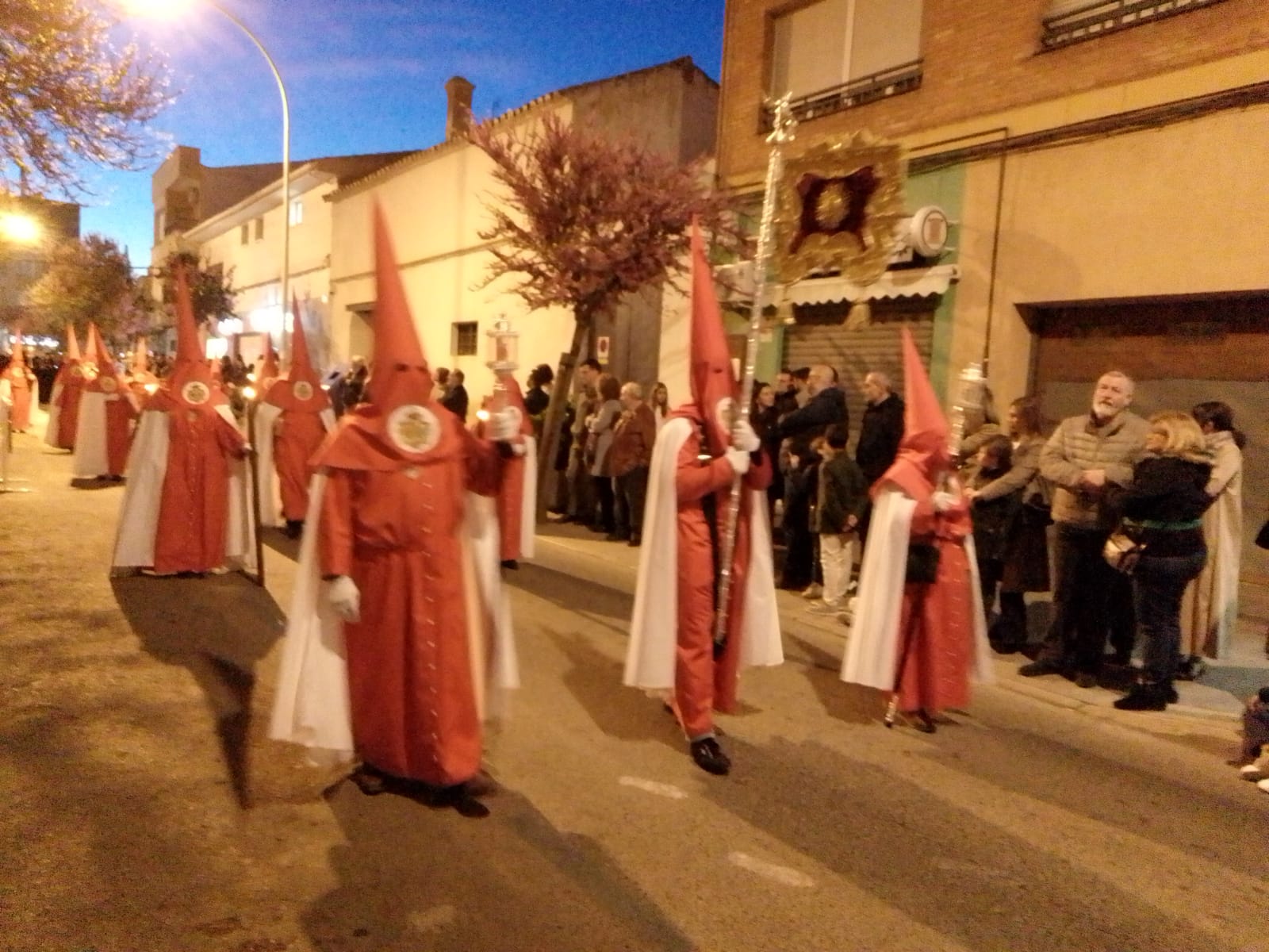 misericordia y palma 2026 (3)