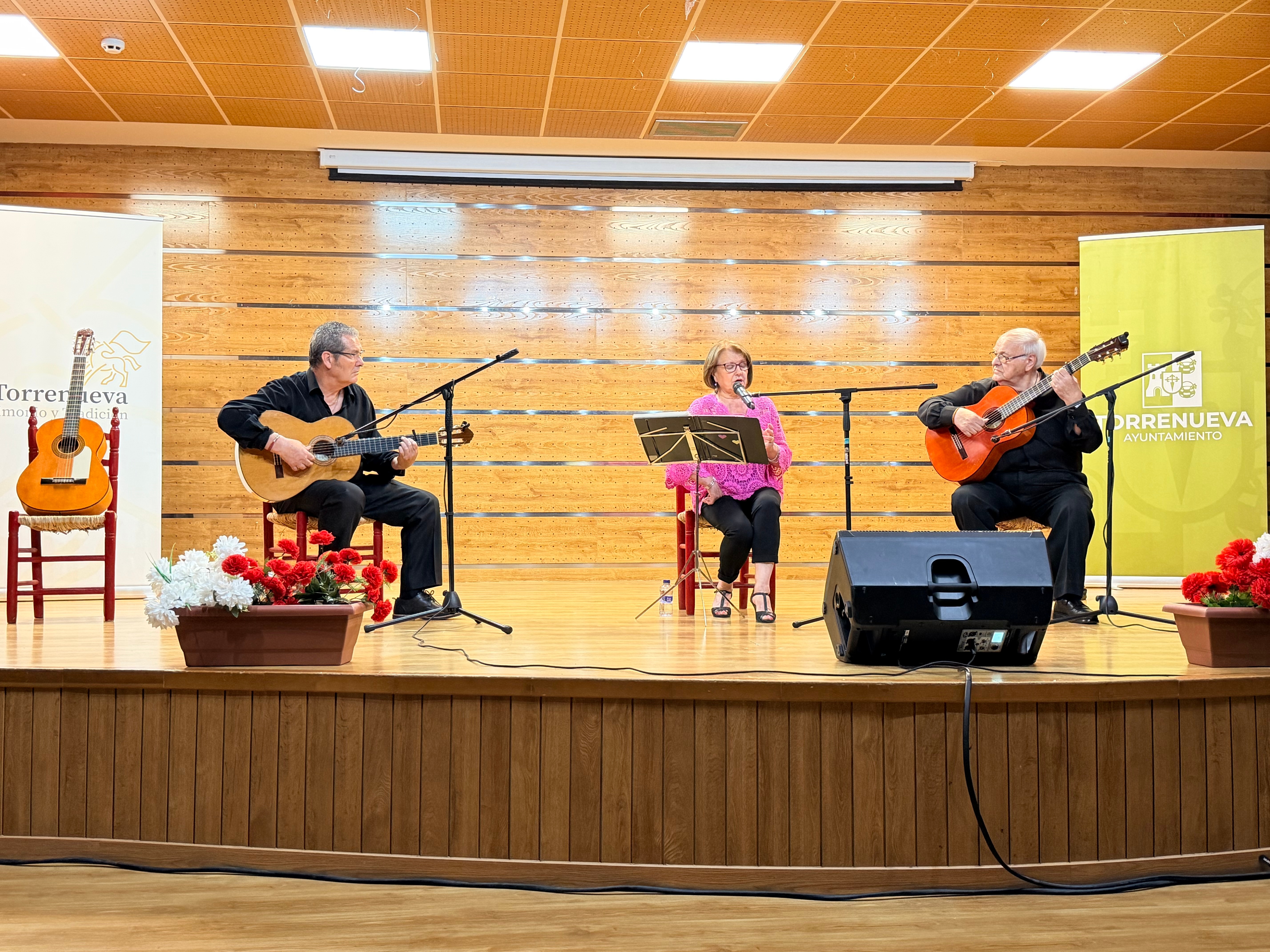 FESTIVAL FLAMENCO torrenueva (1)