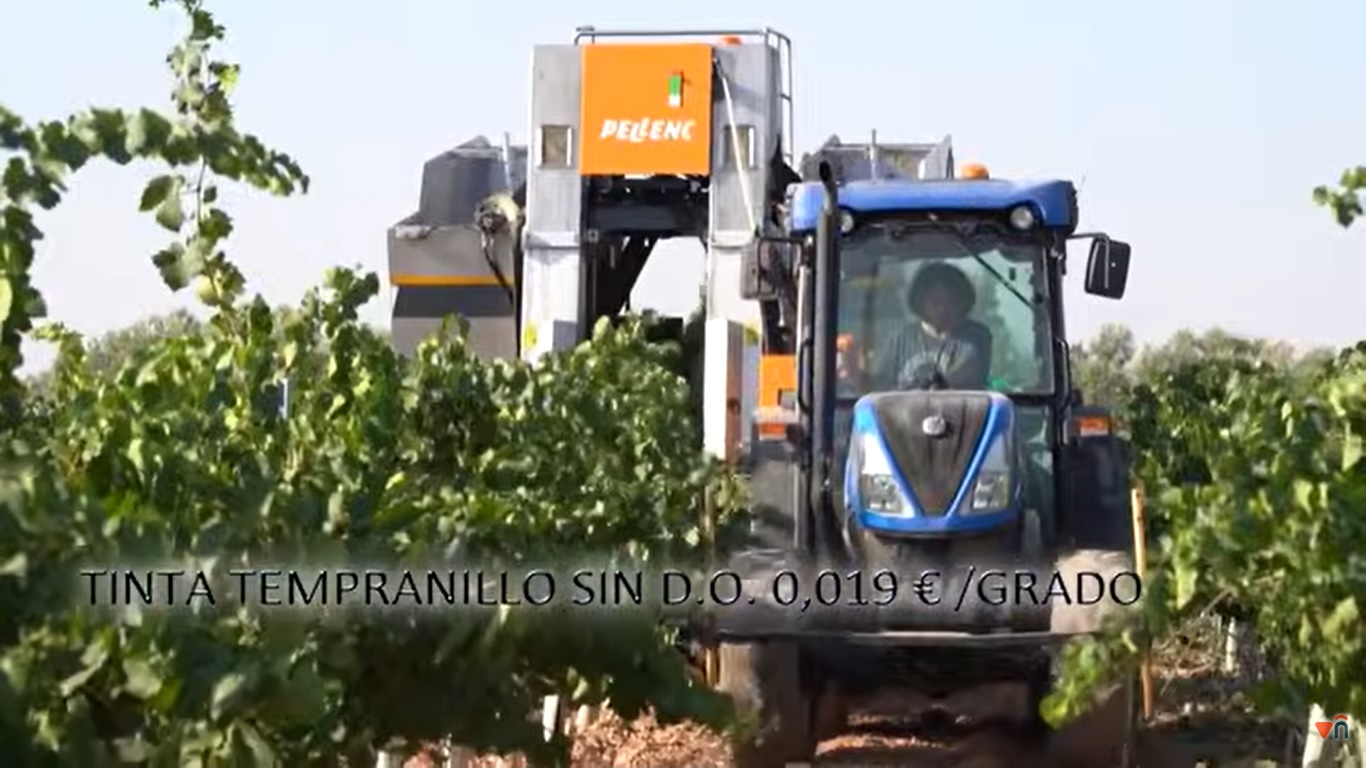 Vendimia a máquina