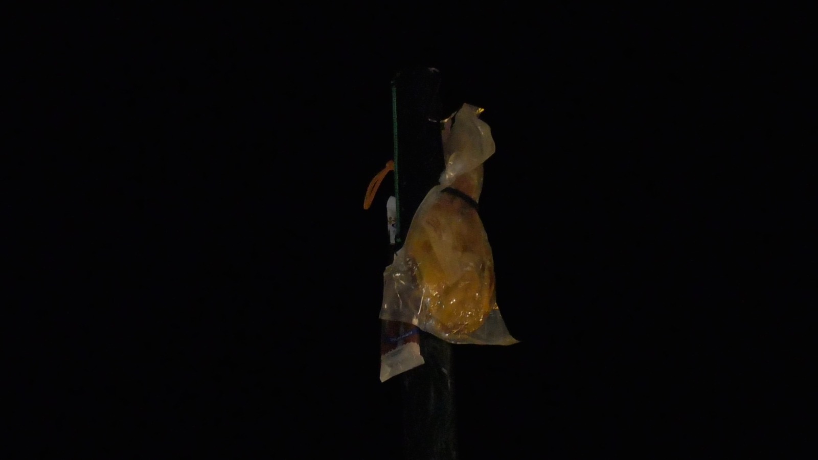 Premio de la Cucaña